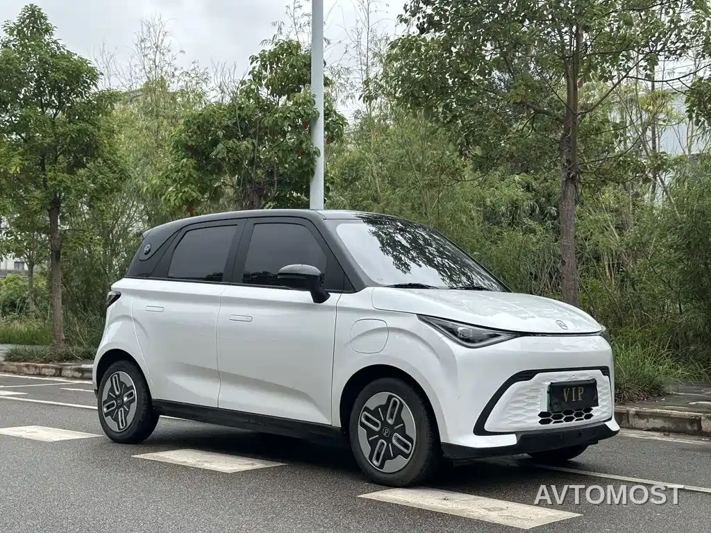 QQ New Energy Duomi 2025 305km Comfort Edition — фото 3
