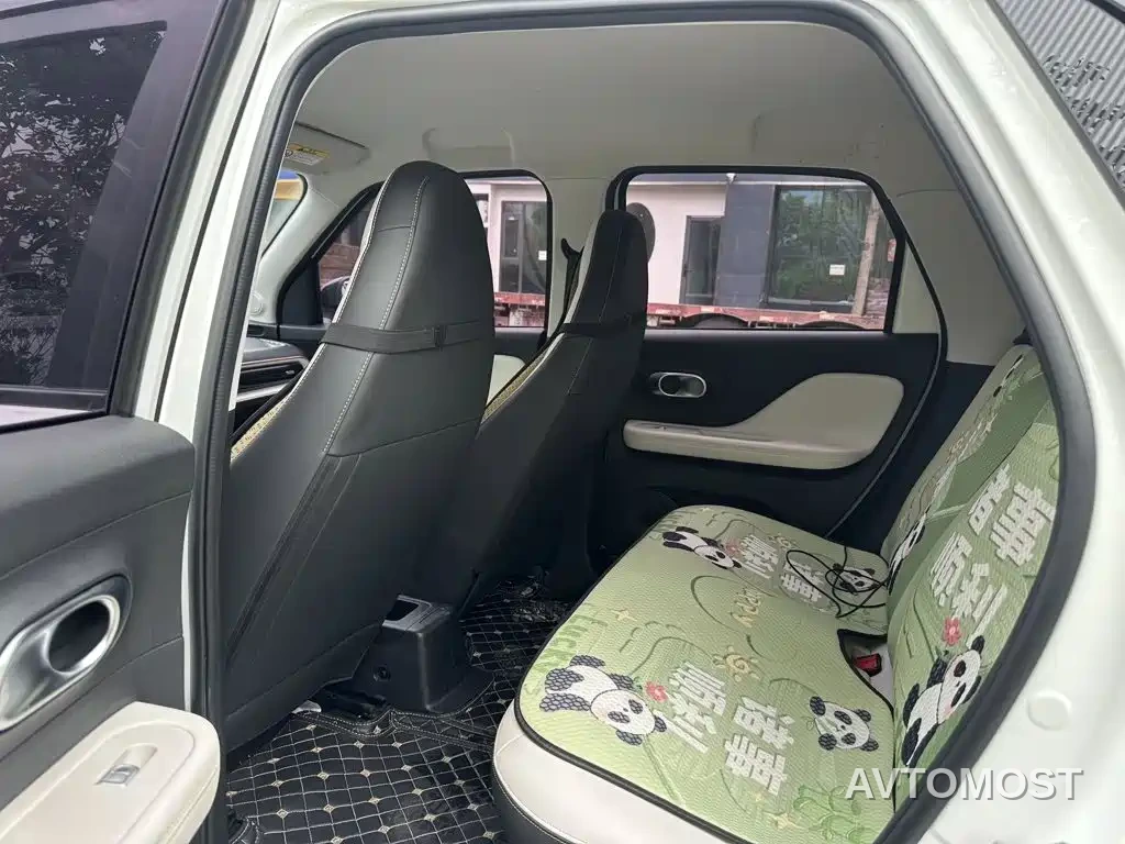 QQ New Energy Duomi 2025 305km Comfort Edition — фото 5