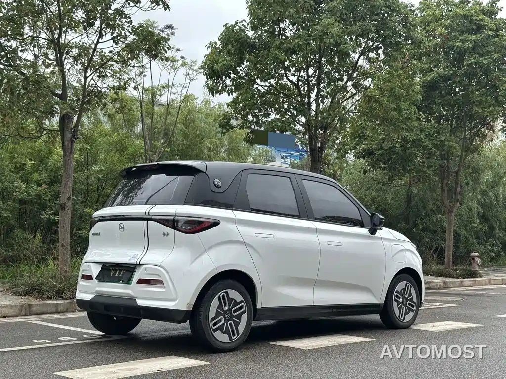 QQ New Energy Duomi 2025 305km Comfort Edition — фото 8