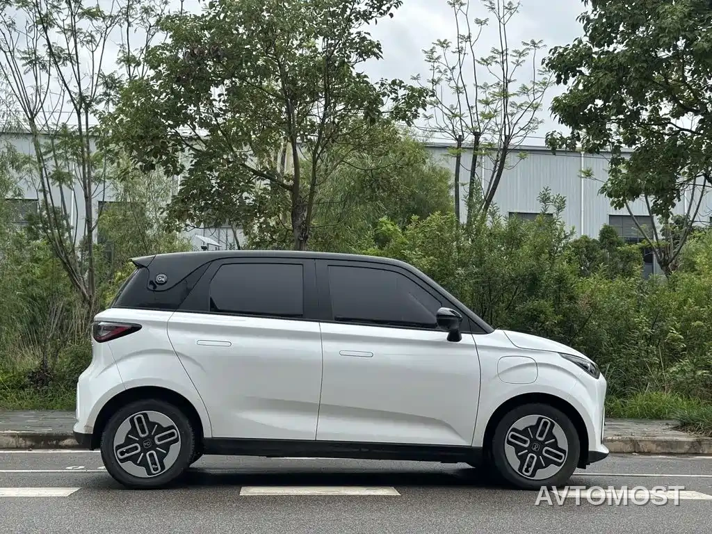 QQ New Energy Duomi 2025 305km Comfort Edition — фото 9