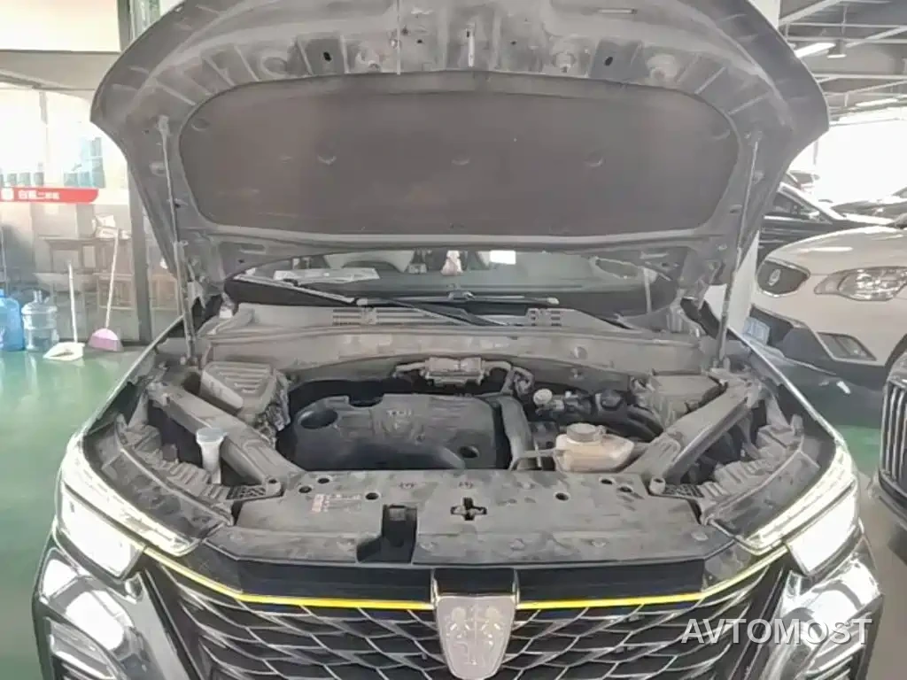Roewe RX5 New Energy 2020 ePLUS Guochao Ronglin Flagship Edition — фото 12