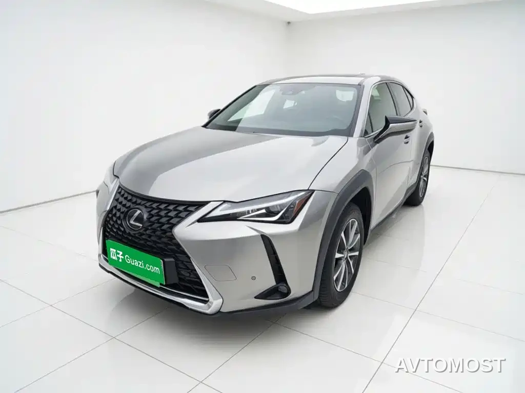 Lexus UX Electric 2020 300e Pure Yue Edition — фото 1