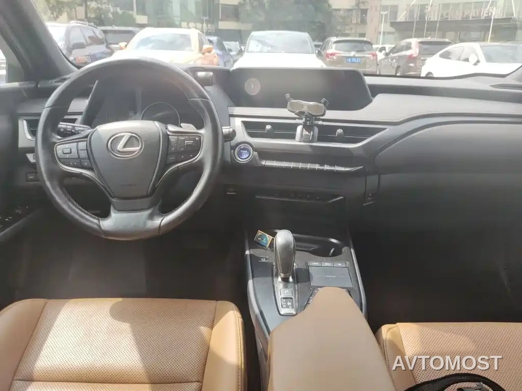Lexus UX Electric 2020 300e Pure Yue Edition — фото 13