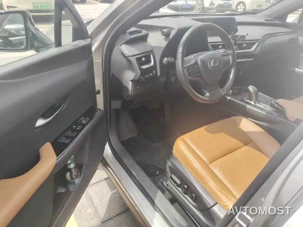 Lexus UX Electric 2020 300e Pure Yue Edition — фото 14