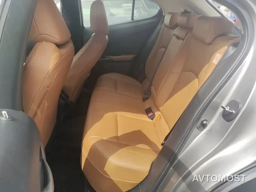 Lexus UX Electric 2020 300e Pure Yue Edition — фото 15