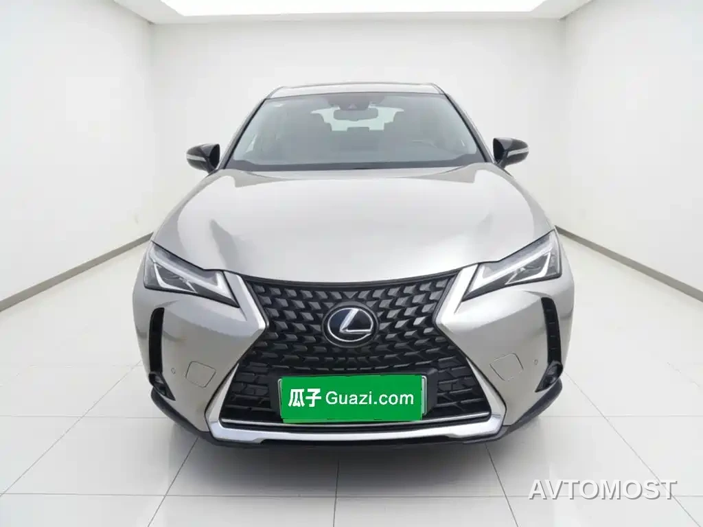 Lexus UX Electric 2020 300e Pure Yue Edition — фото 24