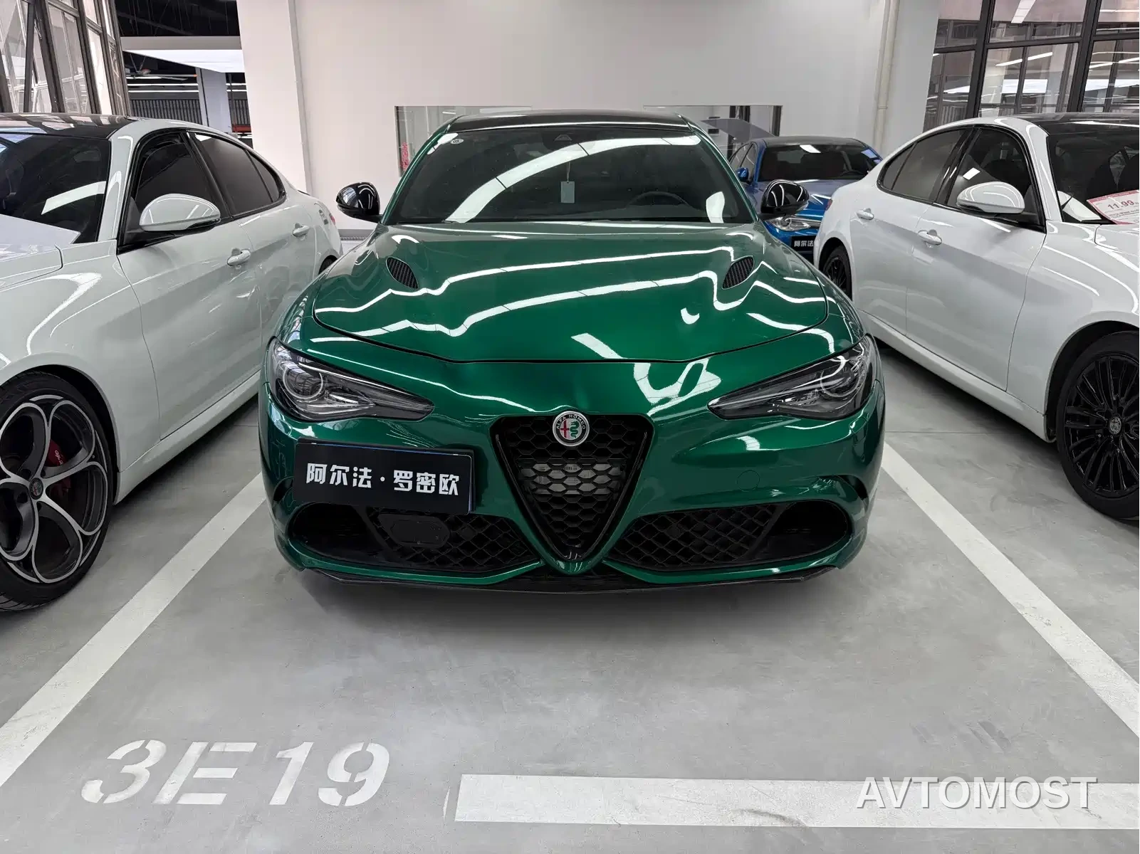 Alfa Romeo Giulia 2022 2.9T Quadrifoglio — фото 2
