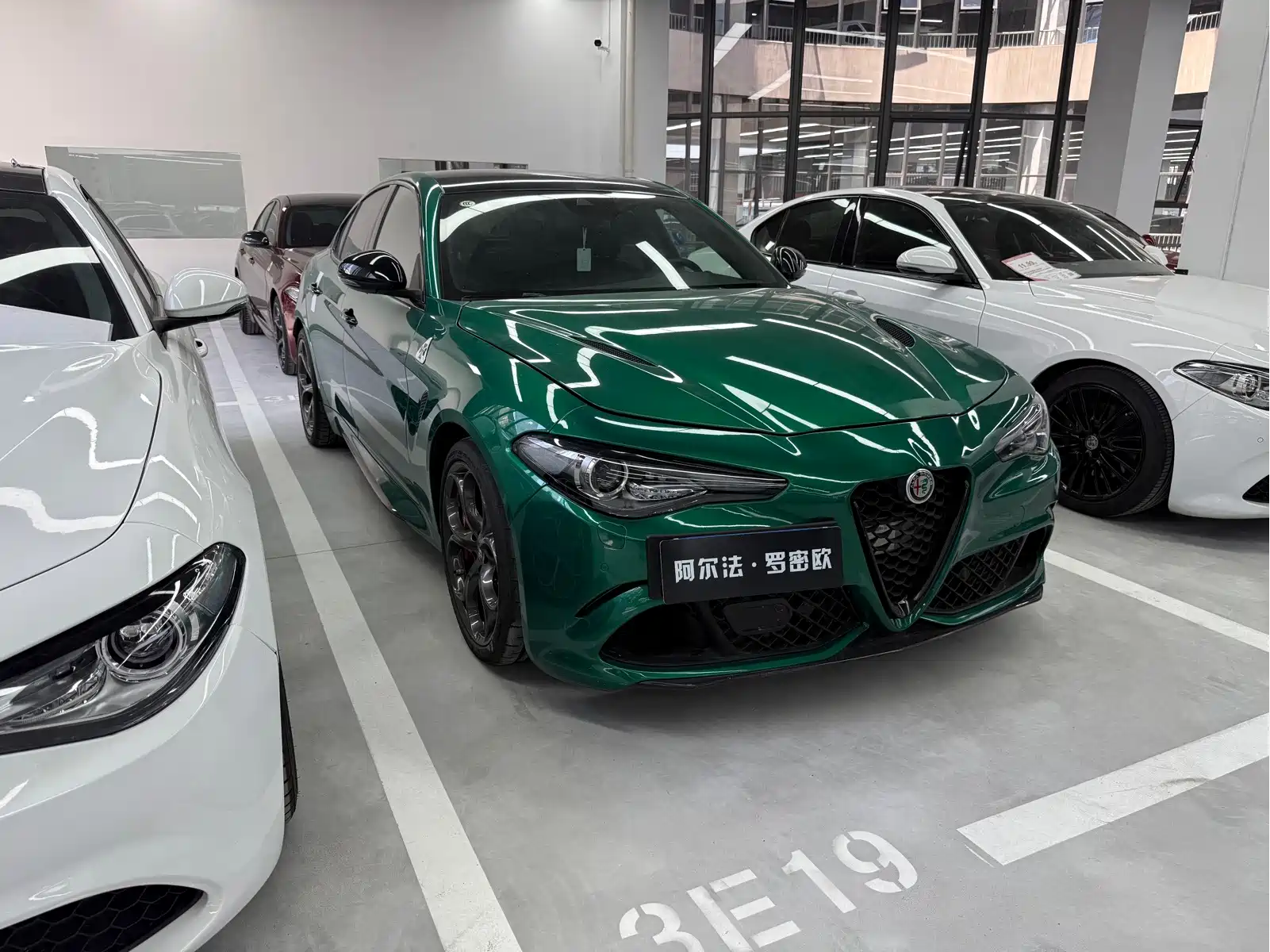 Alfa Romeo Giulia 2022 2.9T Quadrifoglio — фото 3