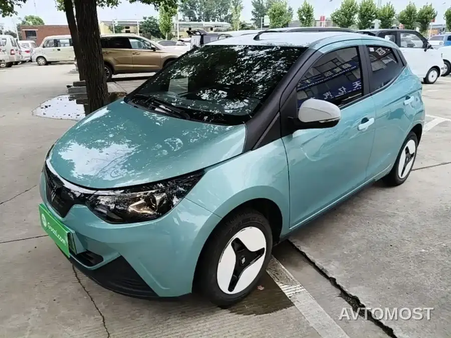 JMCG New Energy Little Kirin 2024 201km Comfort Model