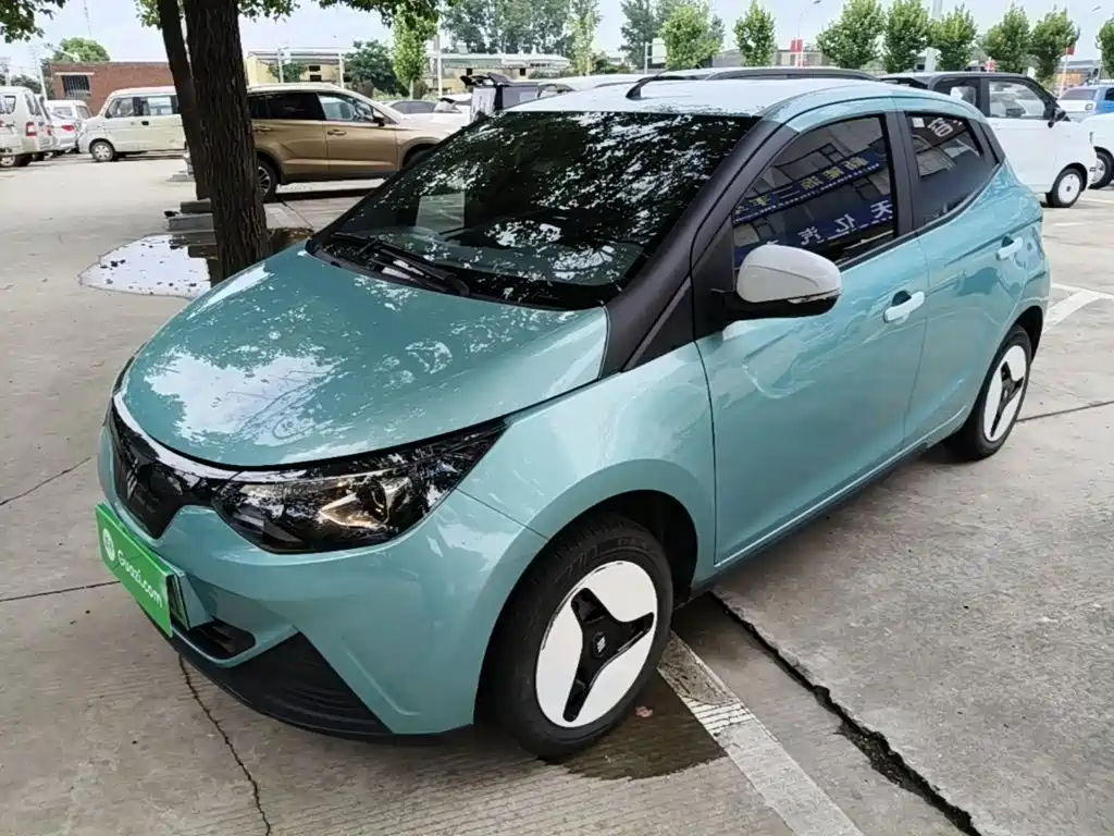 JMCG New Energy Little Kirin 2024 201km Comfort Model