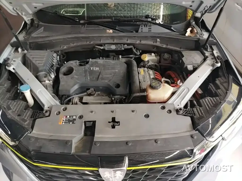 Roewe RX5 New Energy 2020 ePLUS Guochao Ronglin Luxury Edition — фото 17