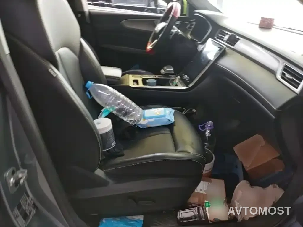 Roewe RX5 New Energy 2020 ePLUS Guochao Ronglin Luxury Edition — фото 22