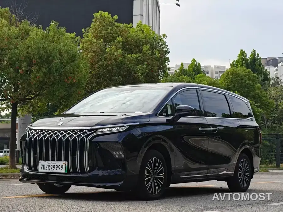 Dongfeng Fengxing Starlight V9 2024 1.5TD 200km Chinese Knot Series Exclusive