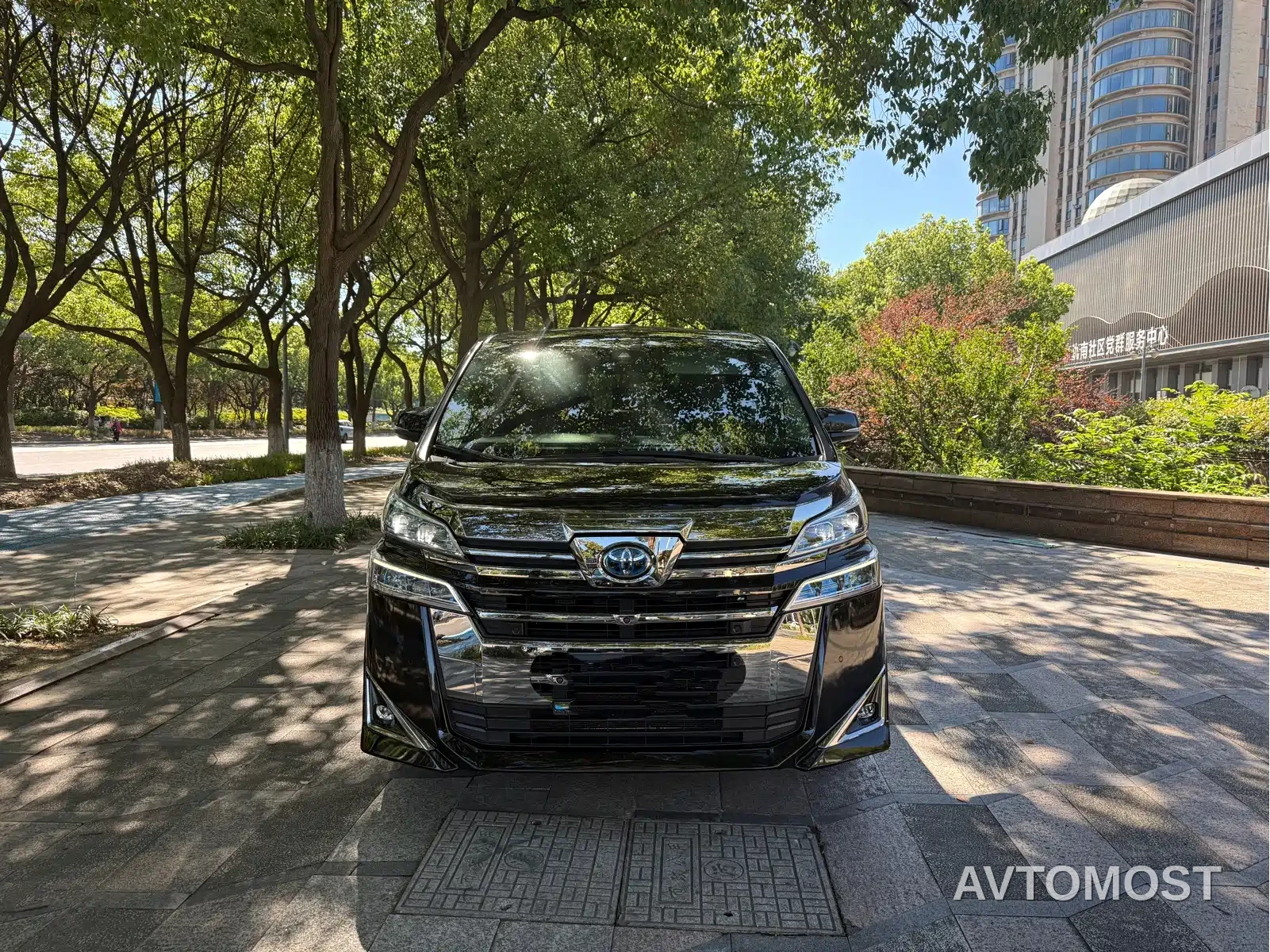 Toyota Vellfire 2020 Twin Engine 2.5L HV Luxury Edition — фото 2
