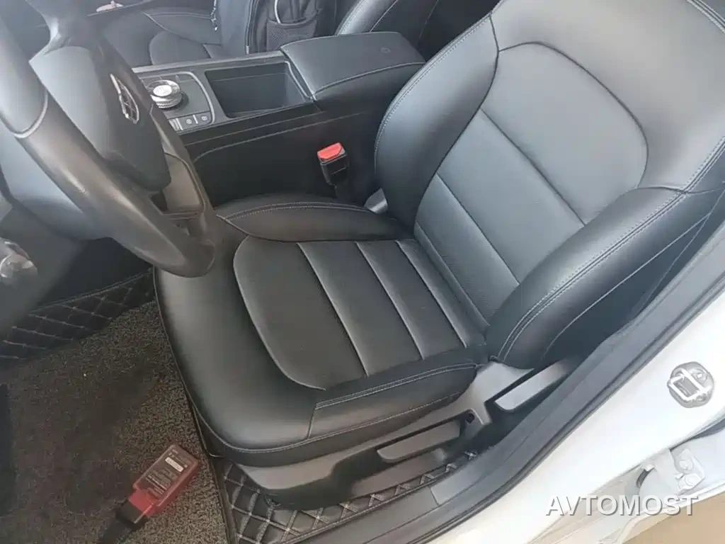 Geely Emgrand New Energy 2022 EV Pro Ride-hailing Version LFP — фото 15