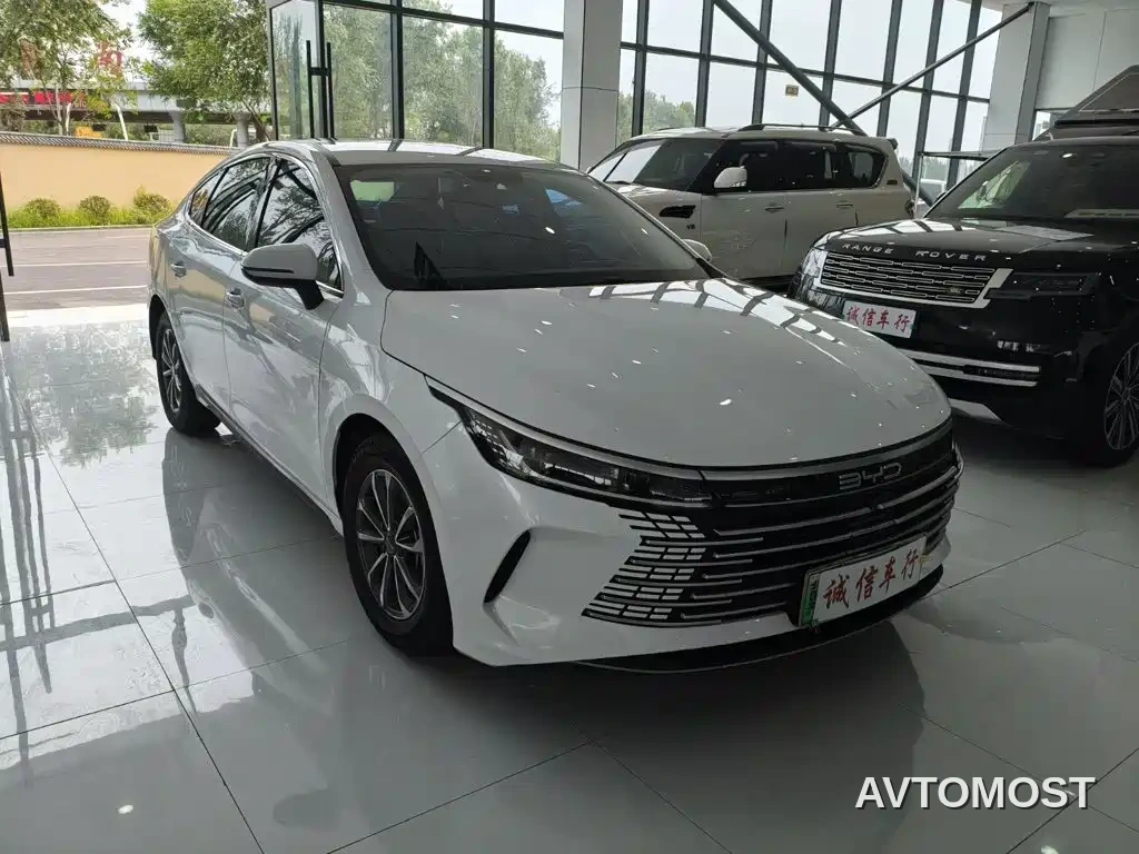 BYD Destroyer 05 2023 Champion Edition DM-i 55KM Luxury — фото 3