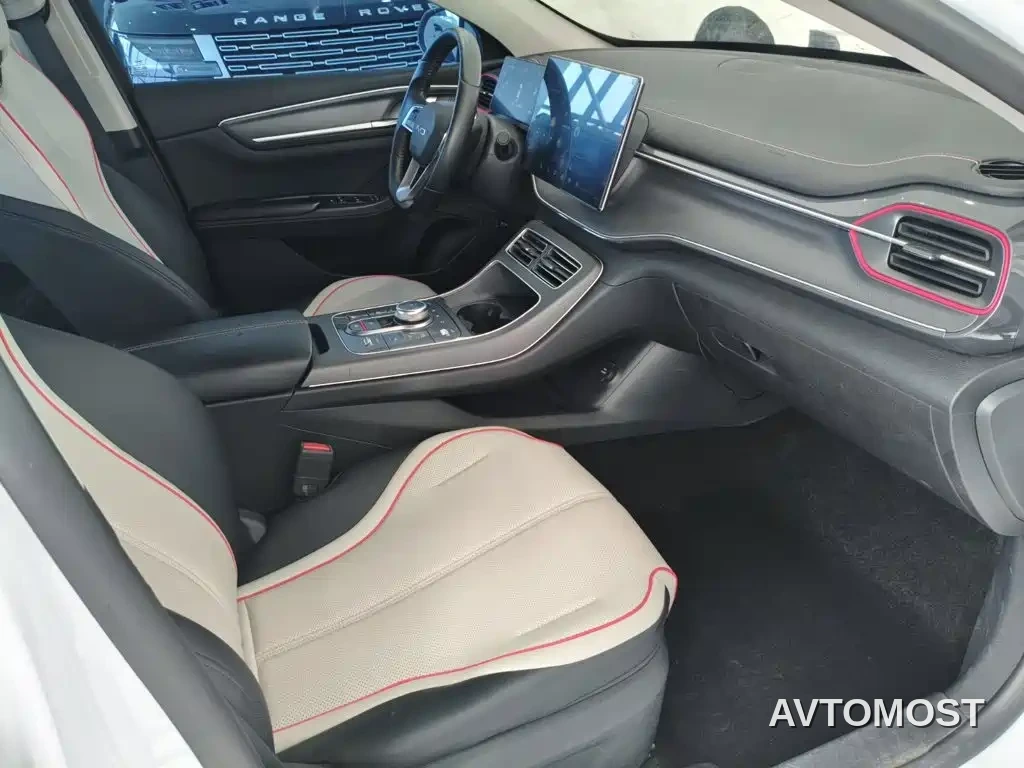 BYD Destroyer 05 2023 Champion Edition DM-i 55KM Luxury — фото 12