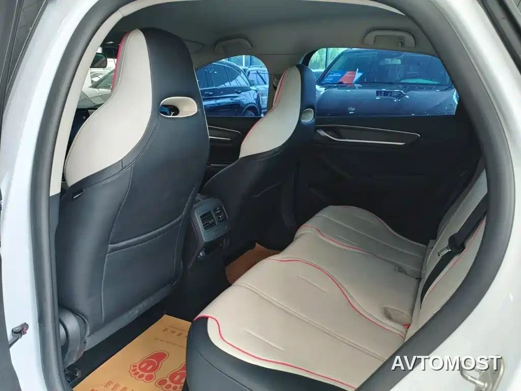 BYD Destroyer 05 2023 Champion Edition DM-i 55KM Luxury — фото 13