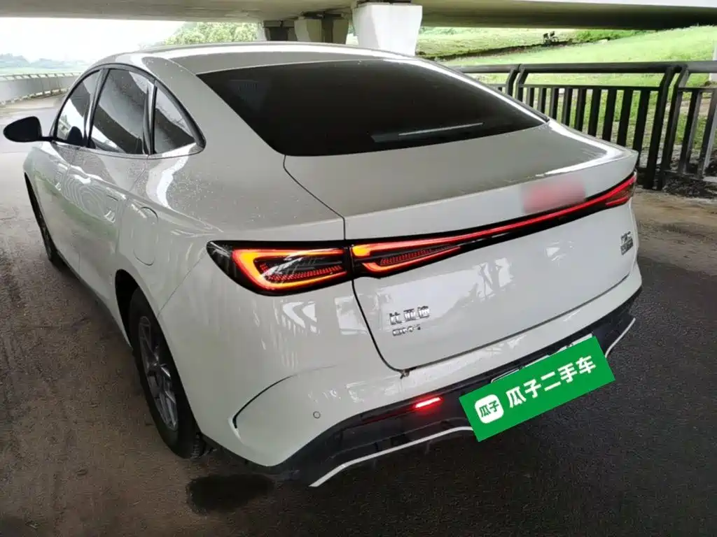 BYD Seal 06 New Energy 2024 DM-i 80KM Luxury — фото 23