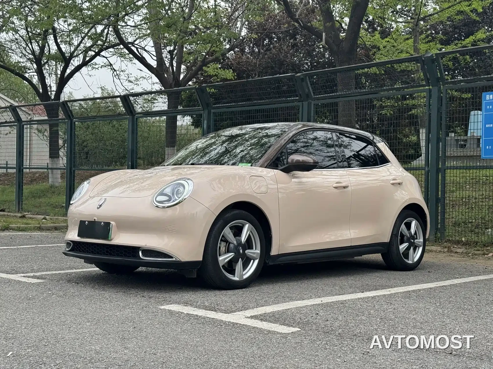 Ora Good Cat 2021 400km Standard Range Venus Edition (LFP) — фото 1