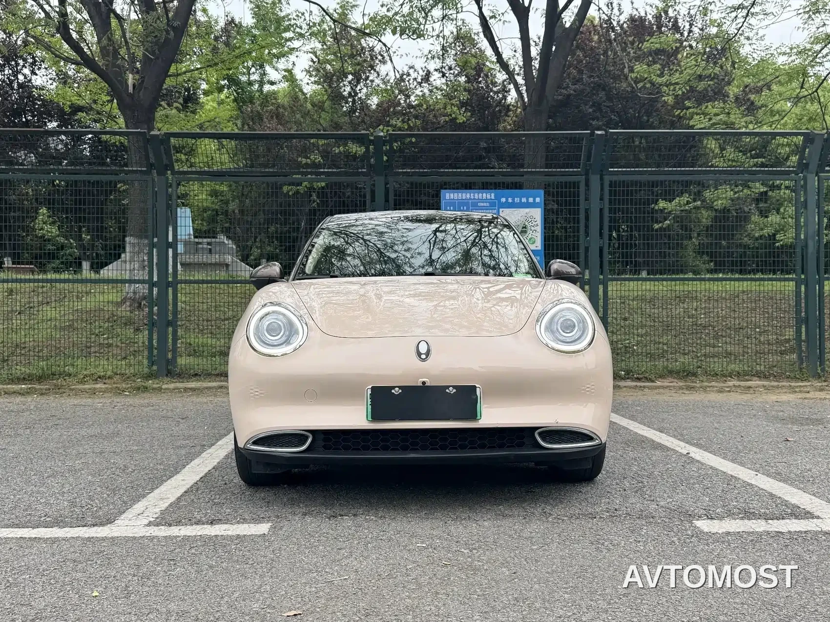 Ora Good Cat 2021 400km Standard Range Venus Edition (LFP) — фото 2