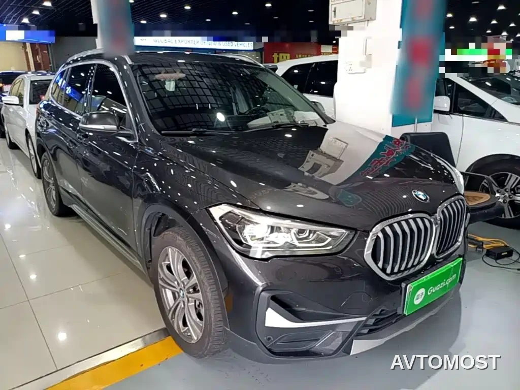 BMW X1 New Energy 2020 xDrive30Le Premium Edition — фото 4