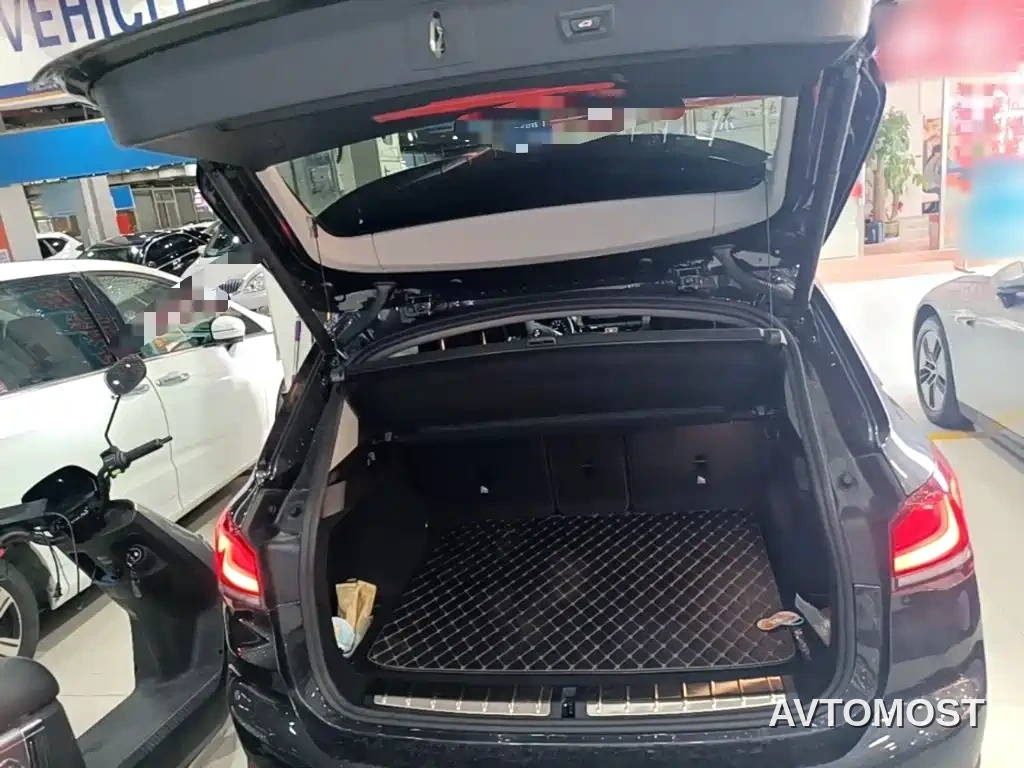 BMW X1 New Energy 2020 xDrive30Le Premium Edition — фото 19