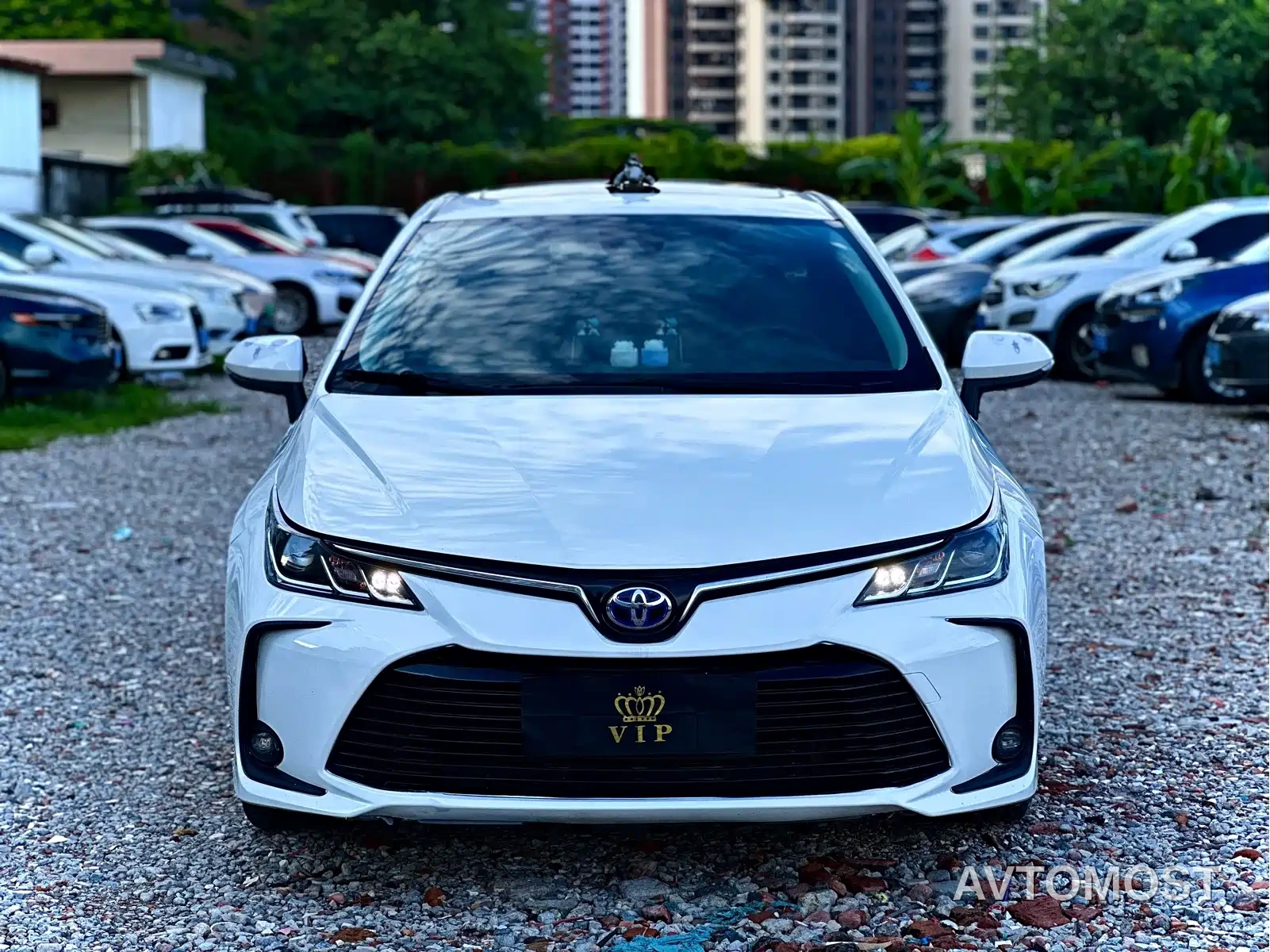 Toyota Corolla 2021 Hybrid 1.8L E-CVT Pioneer Edition — фото 1