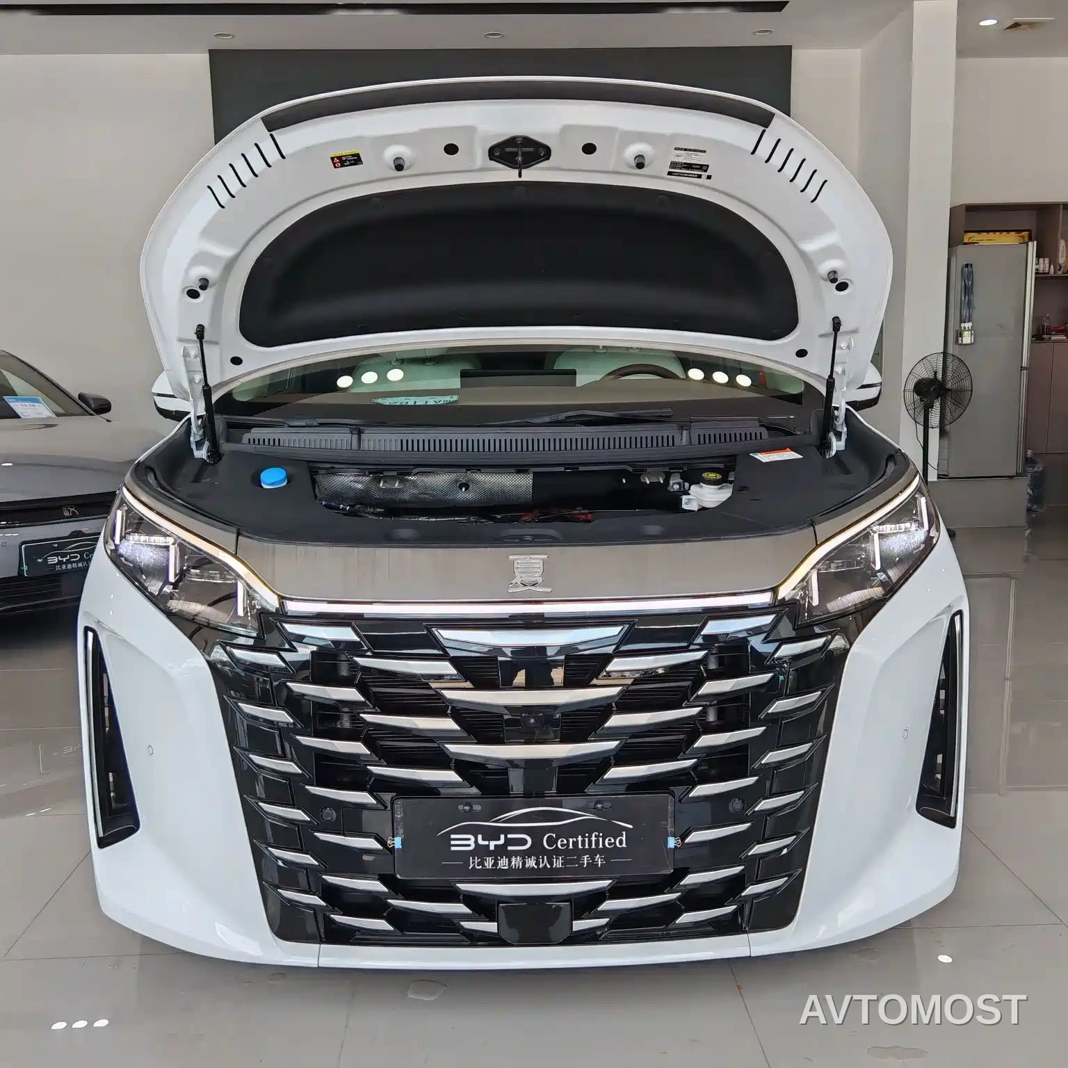 BYD Xia 2025 DM-i 1.5T 180km Surpass Edition — фото 2