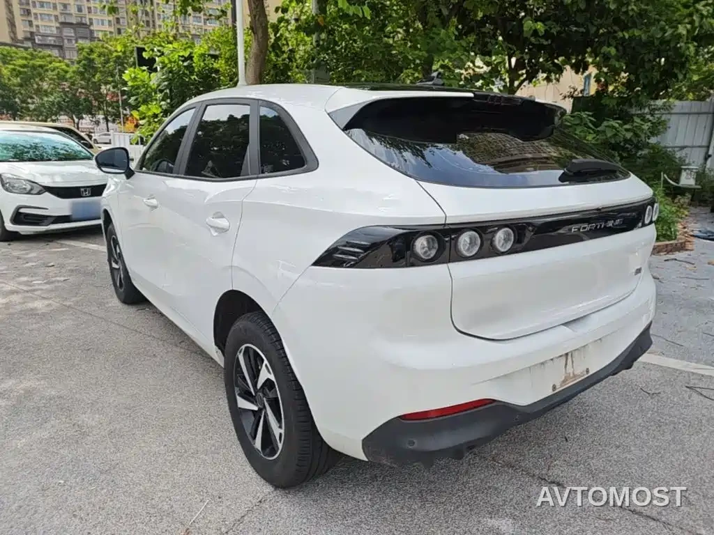 Dongfeng Fengxing Thunder 2024 410 Capability Edition — фото 5