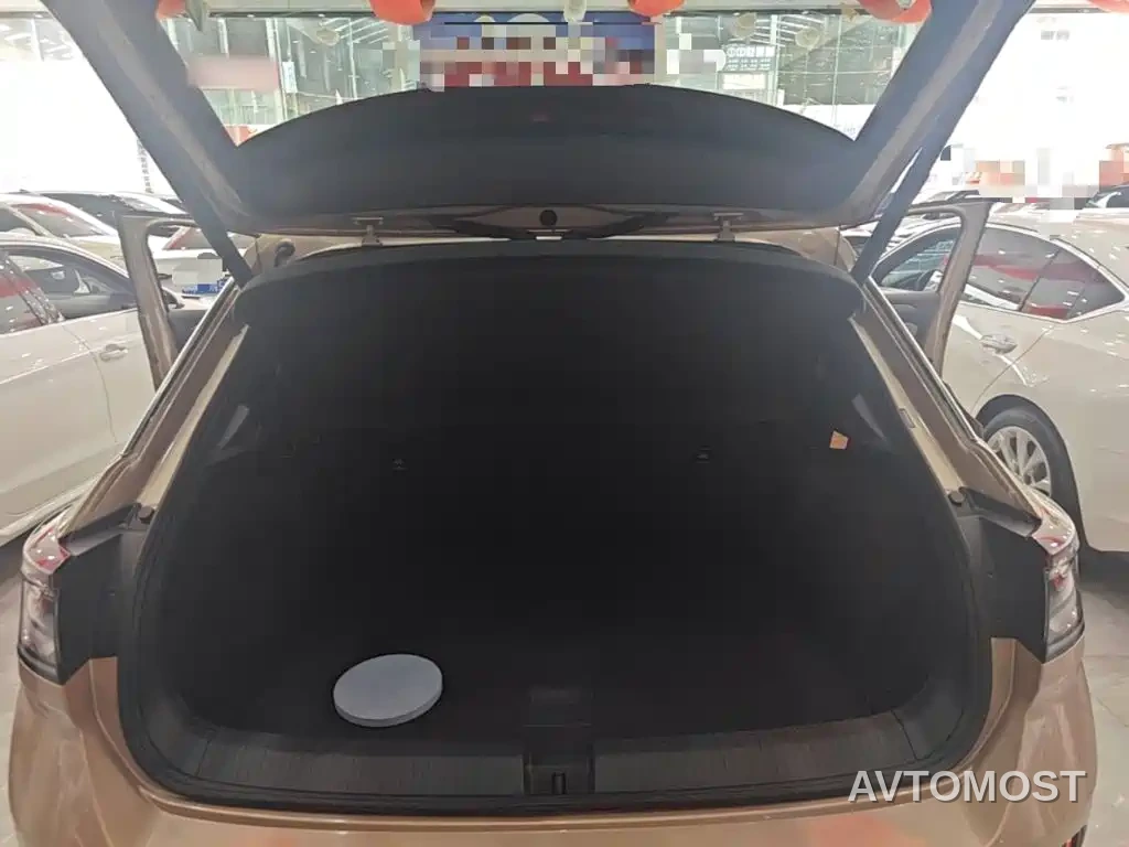 Volkswagen T-ROC 2023 300TSI DSG 2WD Dawn Edition — фото 19