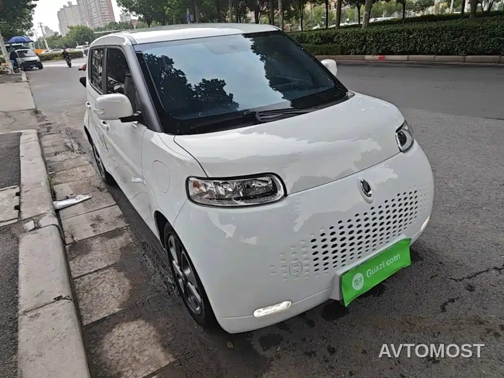 Ora White Cat 2020 305km Luxury — фото 4