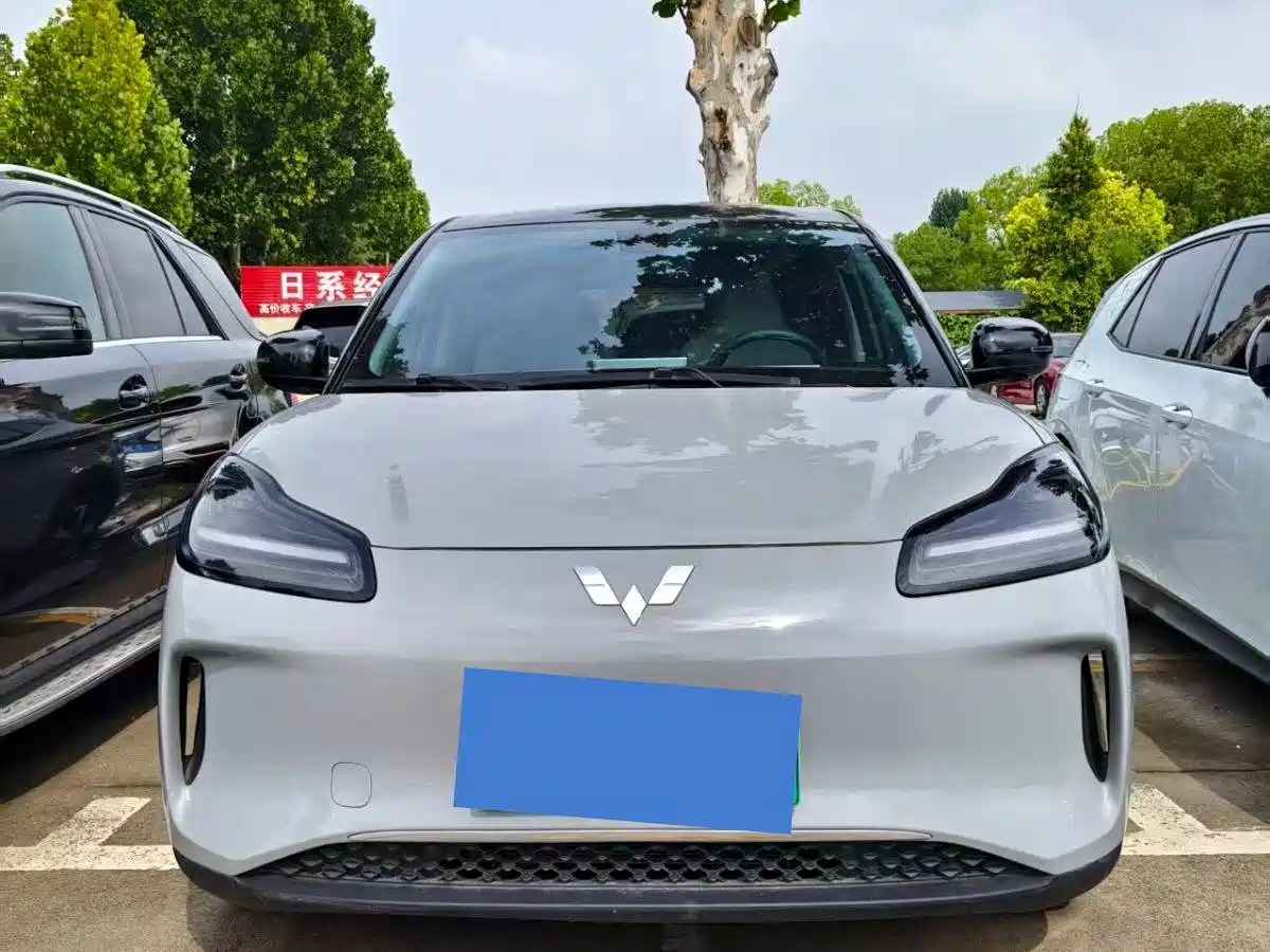 Wuling Binguo PLUS 2024 510km Range 5-seater