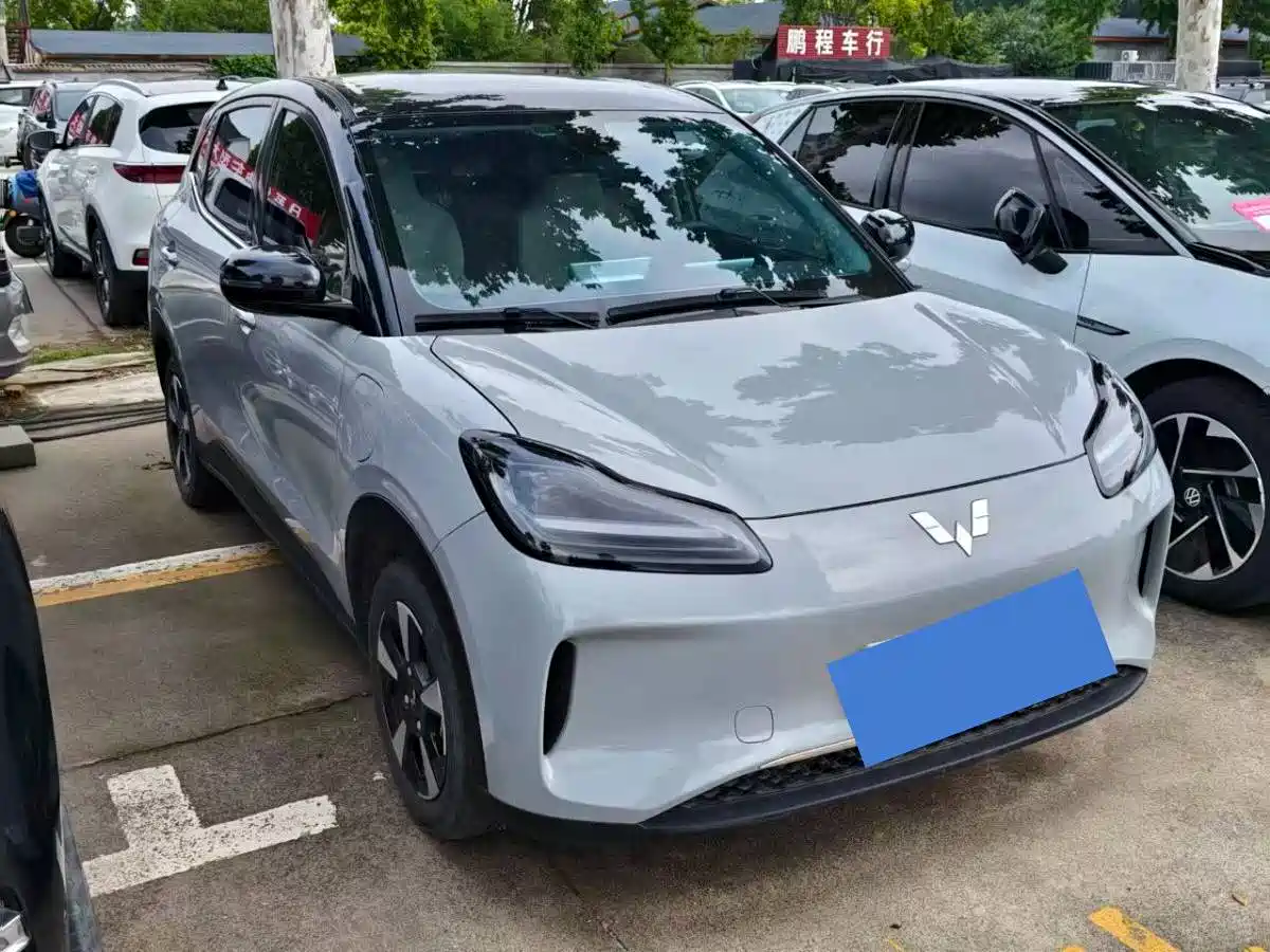 Wuling Binguo PLUS 2024 510km Range 5-seater — фото 2