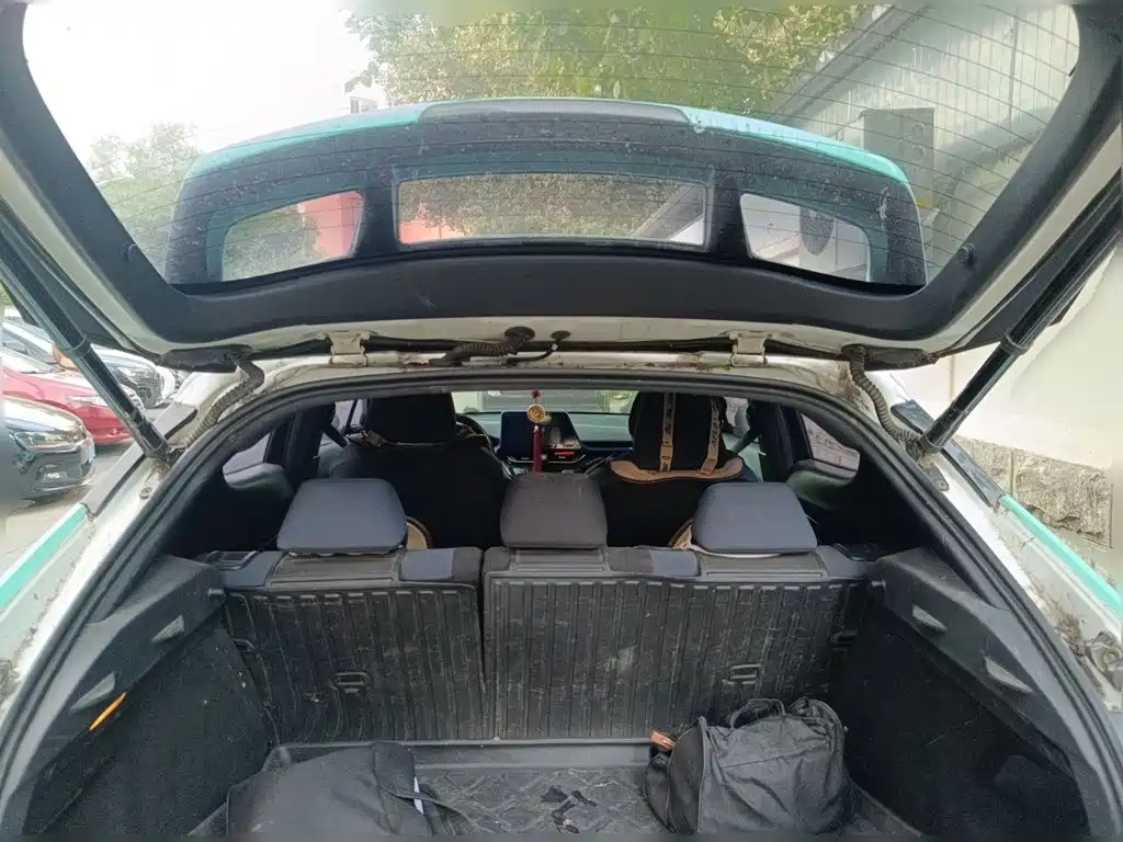 Toyota C-HR EV 2020 Luxury Sunroof Edition — фото 20