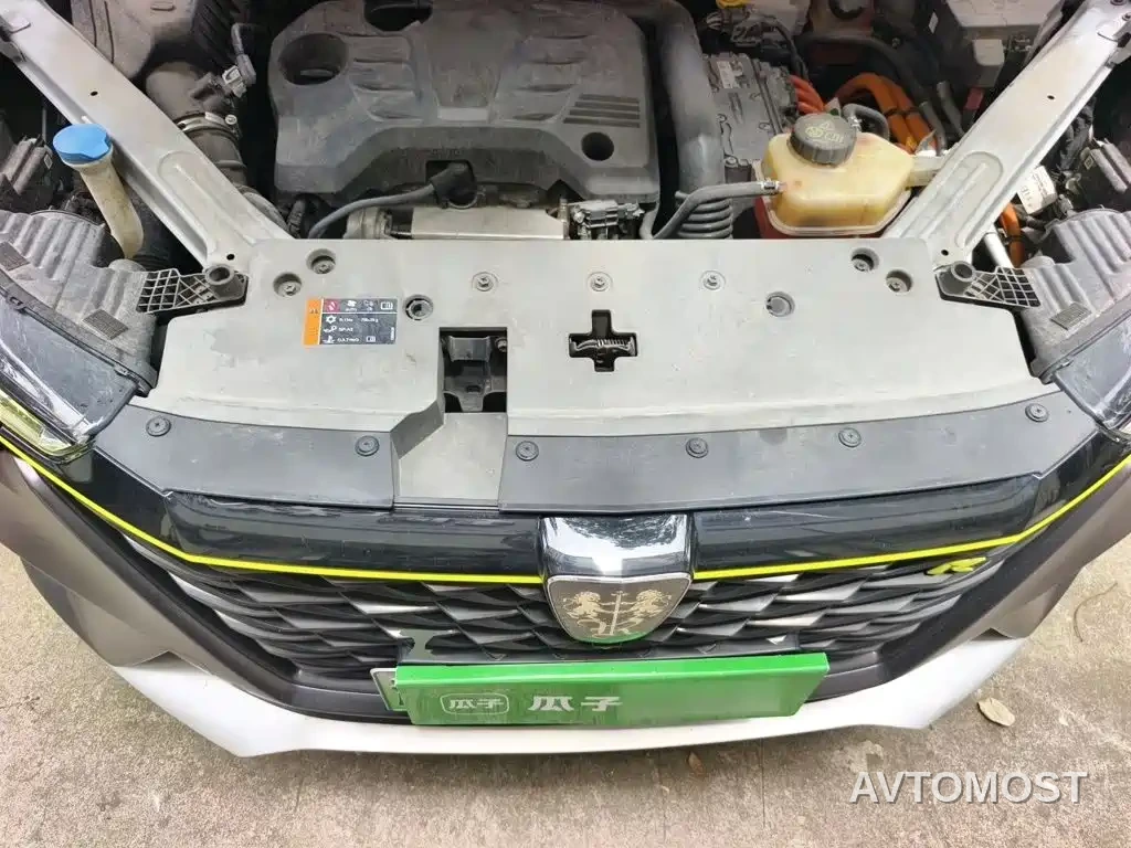 Roewe RX5 New Energy 2020 ePLUS Guochao Ronglin Flagship Edition — фото 9