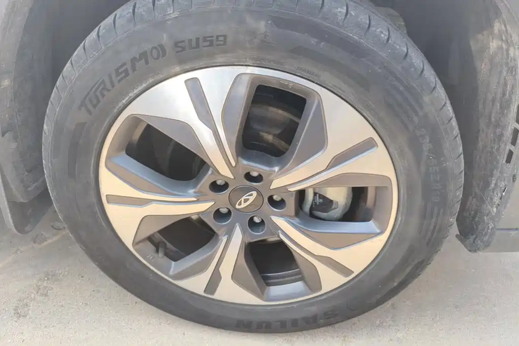 Chery Tiggo 8 PRO EV 2023 Champion Edition 1.5T 100km King Edition — фото 6