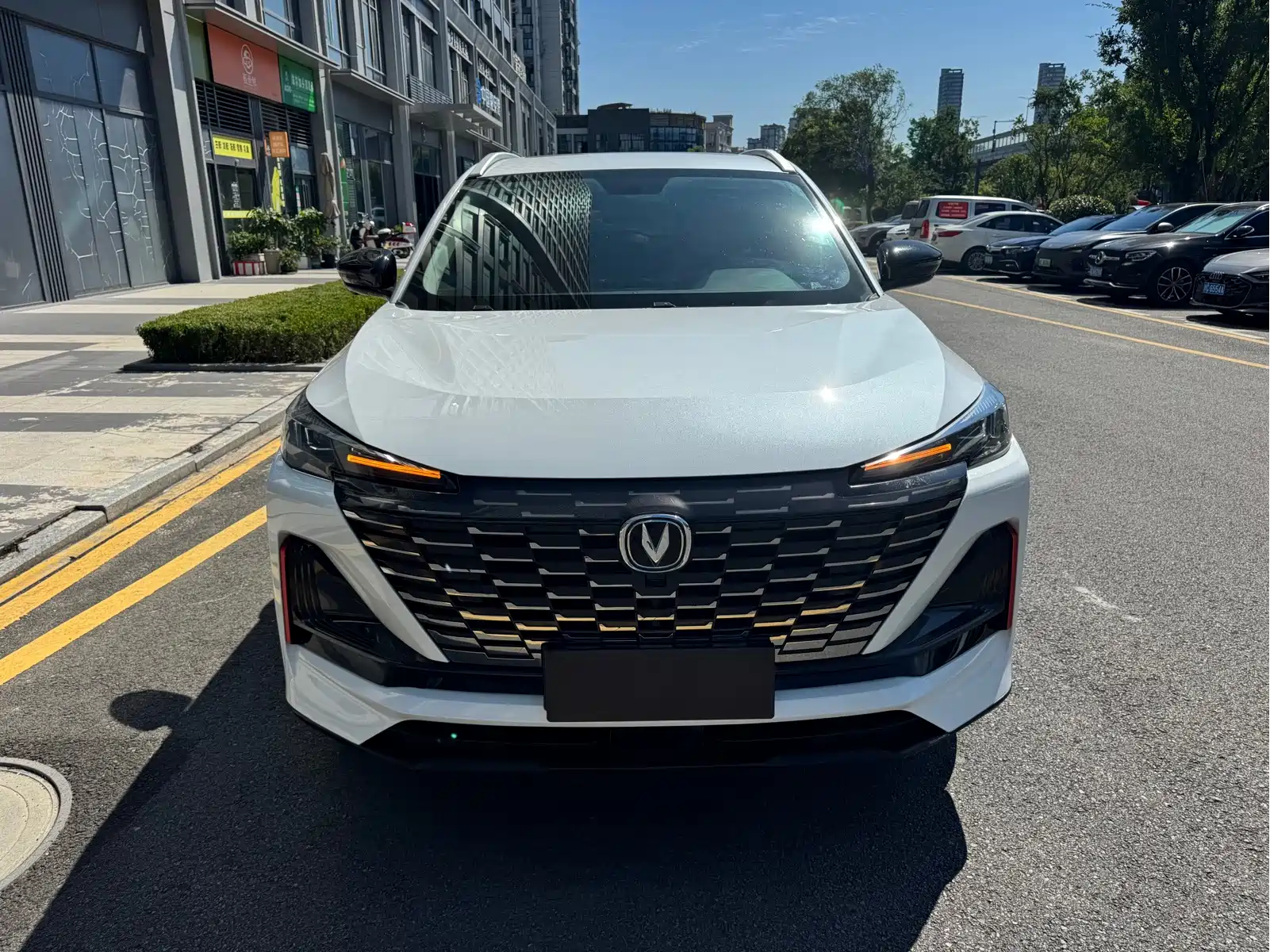 Changan CS55 PLUS 2022 Blue Whale Edition 1.5T DCT Luxury — фото 2