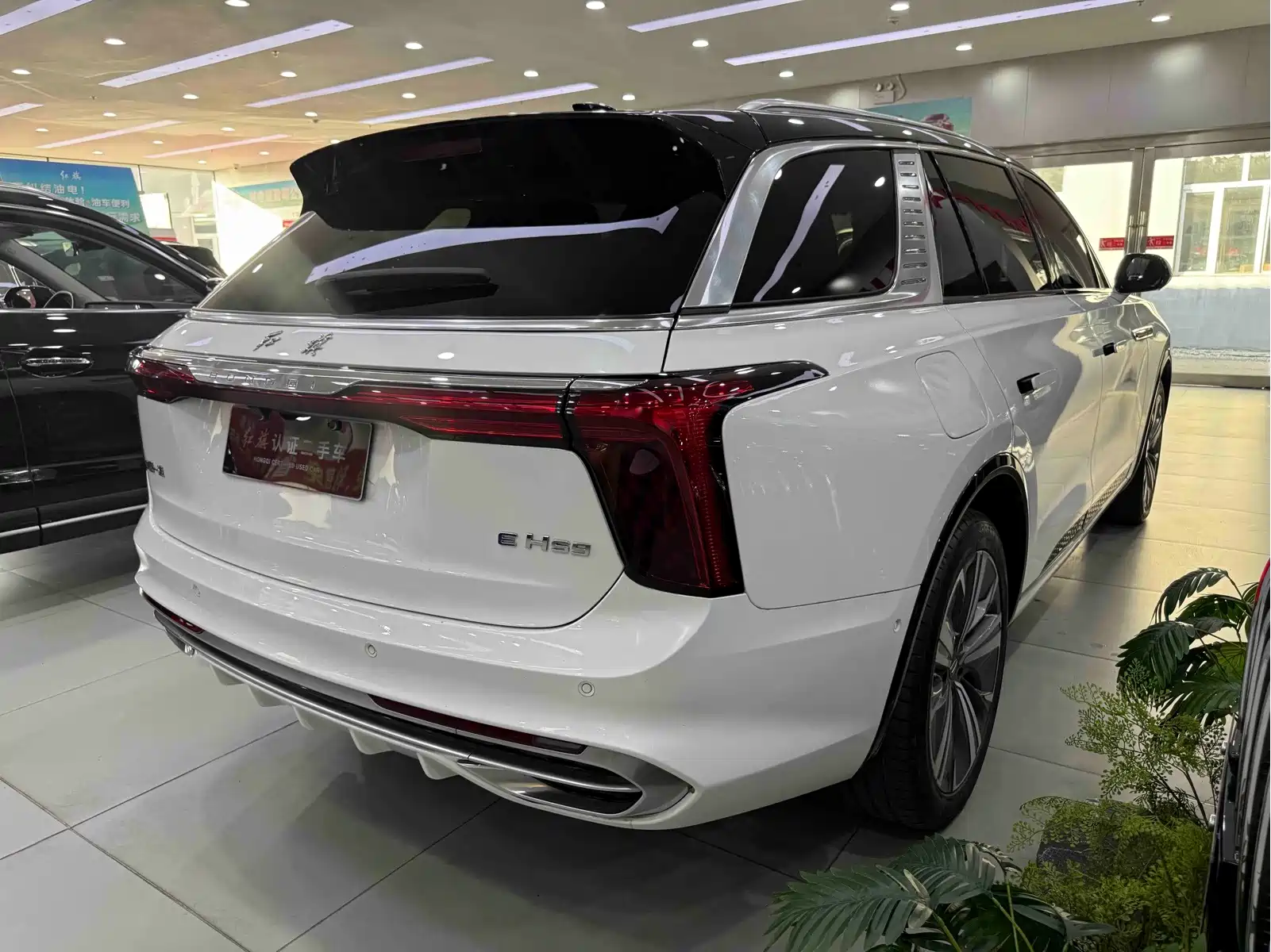 Hongqi E-HS9 2021 460km Flagship Comfort 6-seater — фото 4