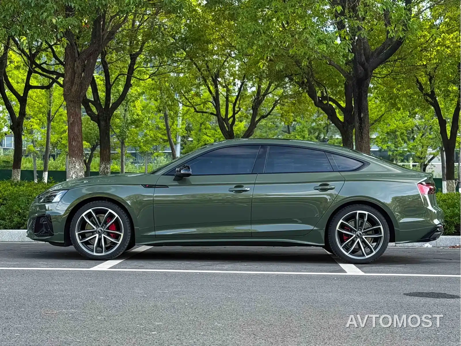 Audi A5 (Import) 2025 Sportback 40 TFSI quattro Collector's Edition Luxury Dynamic — фото 5