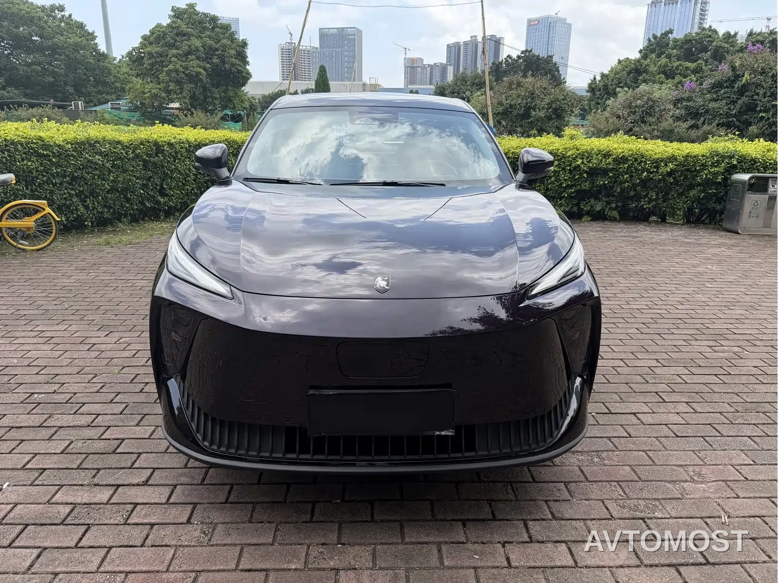 Dongfeng Fengxing Stellar X5 2025 Pilot Edition — фото 2