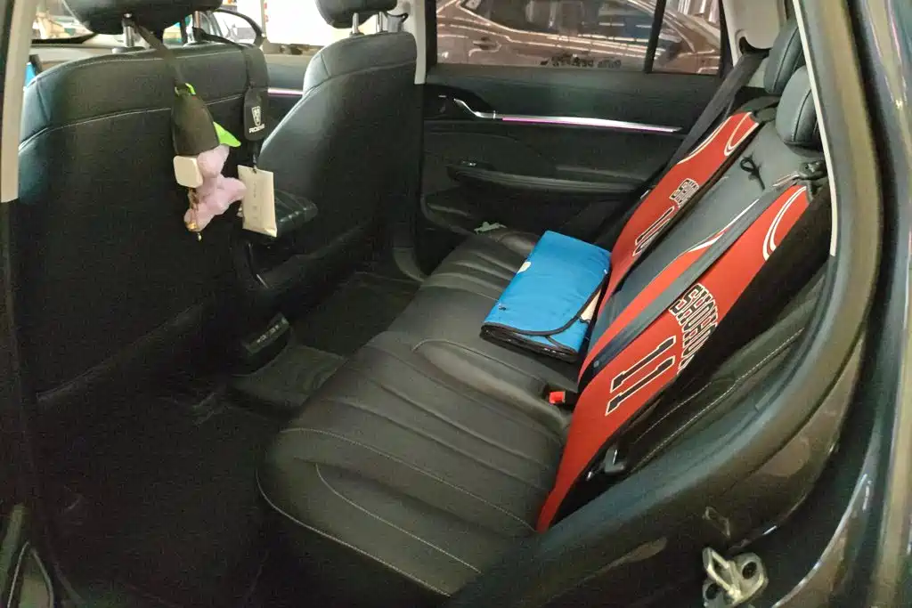 Roewe RX5 eMAX 2022 1.5T PHEV Fearless Honor Edition — фото 11