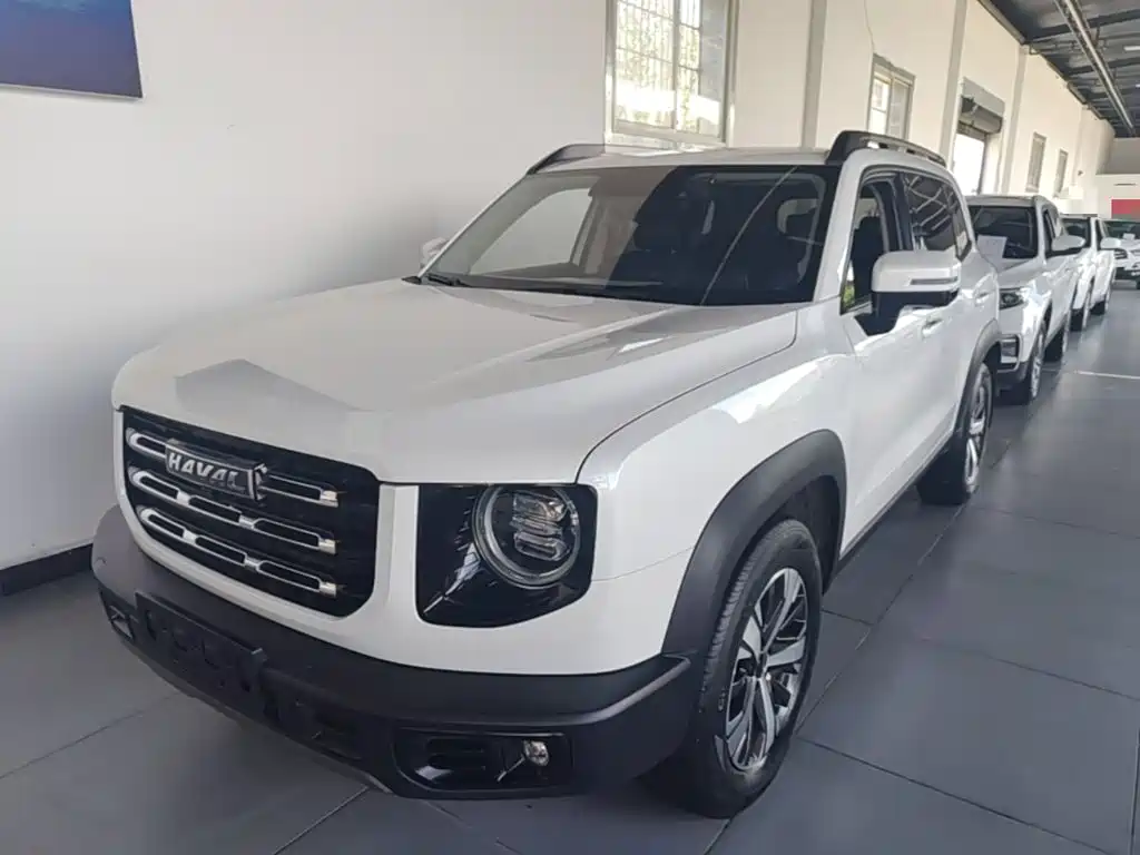 Haval Big Dog 2021 1.5T DCT 2WD Labrador Edition — фото 2