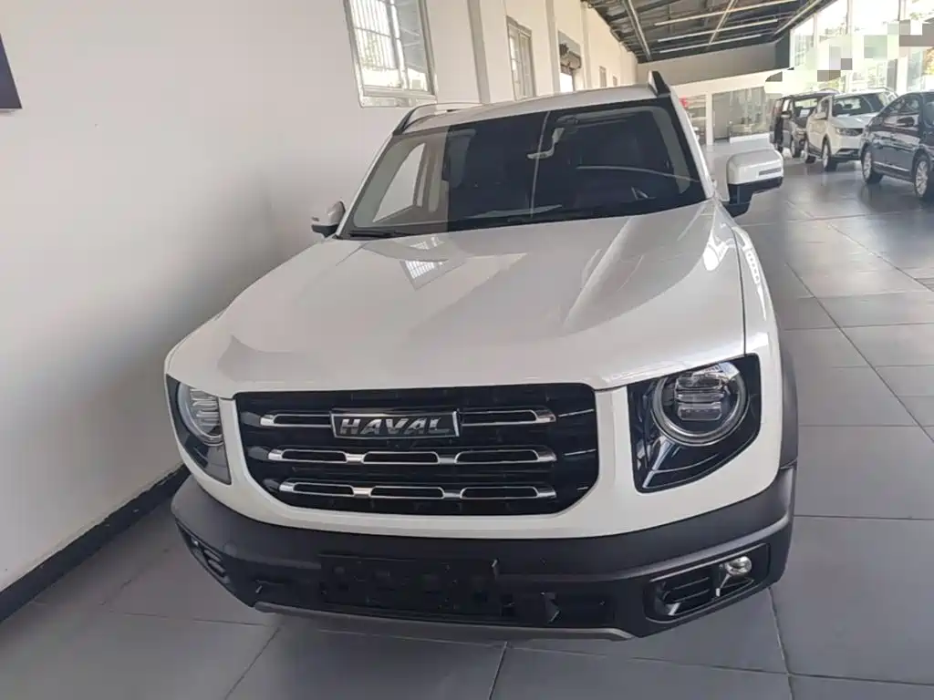 Haval Big Dog 2021 1.5T DCT 2WD Labrador Edition — фото 3