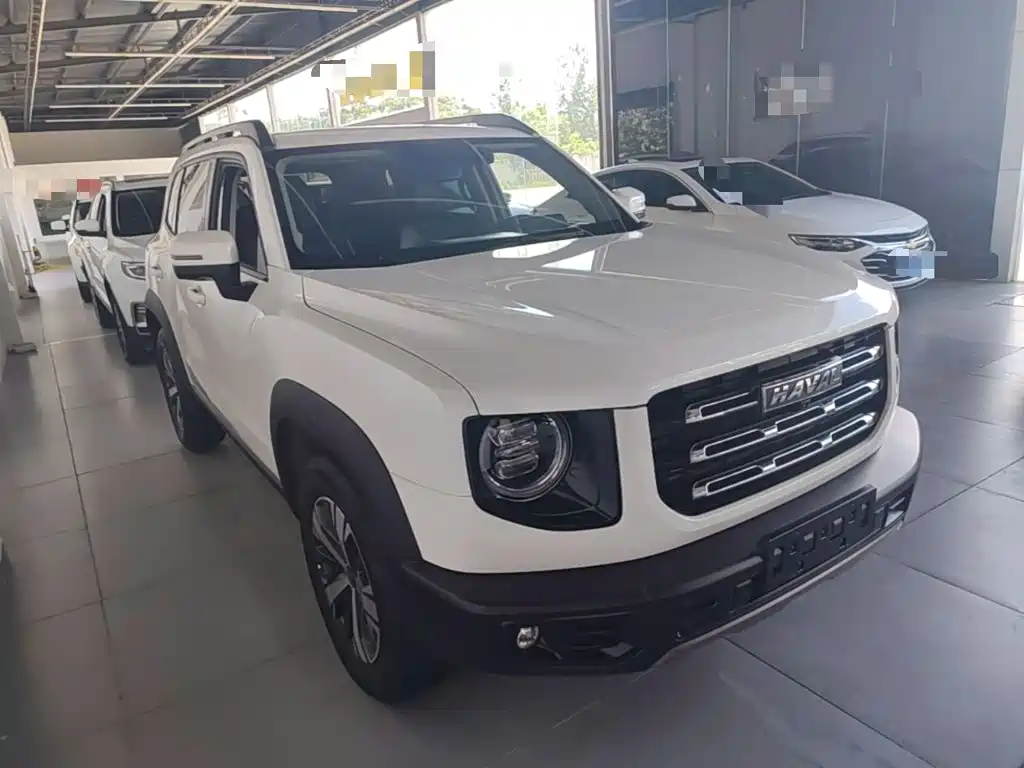 Haval Big Dog 2021 1.5T DCT 2WD Labrador Edition — фото 4