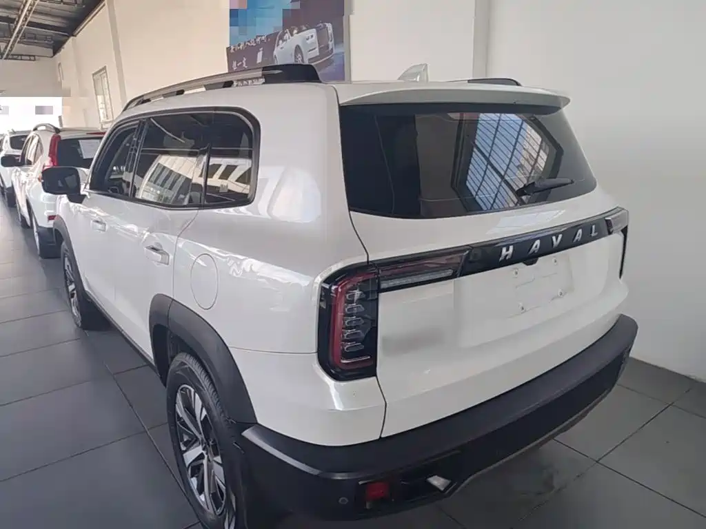 Haval Big Dog 2021 1.5T DCT 2WD Labrador Edition — фото 5