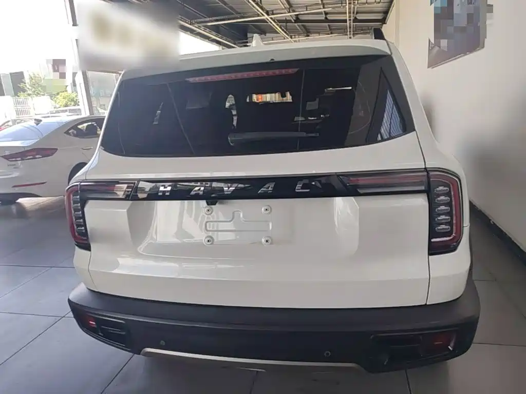 Haval Big Dog 2021 1.5T DCT 2WD Labrador Edition — фото 6