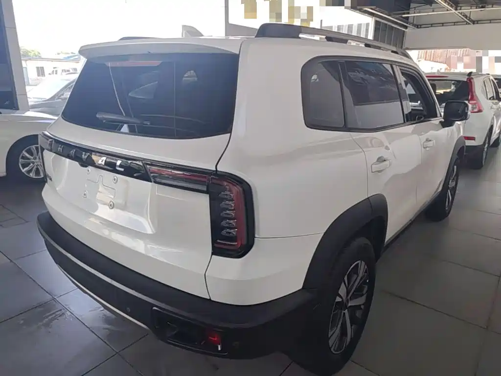 Haval Big Dog 2021 1.5T DCT 2WD Labrador Edition — фото 7