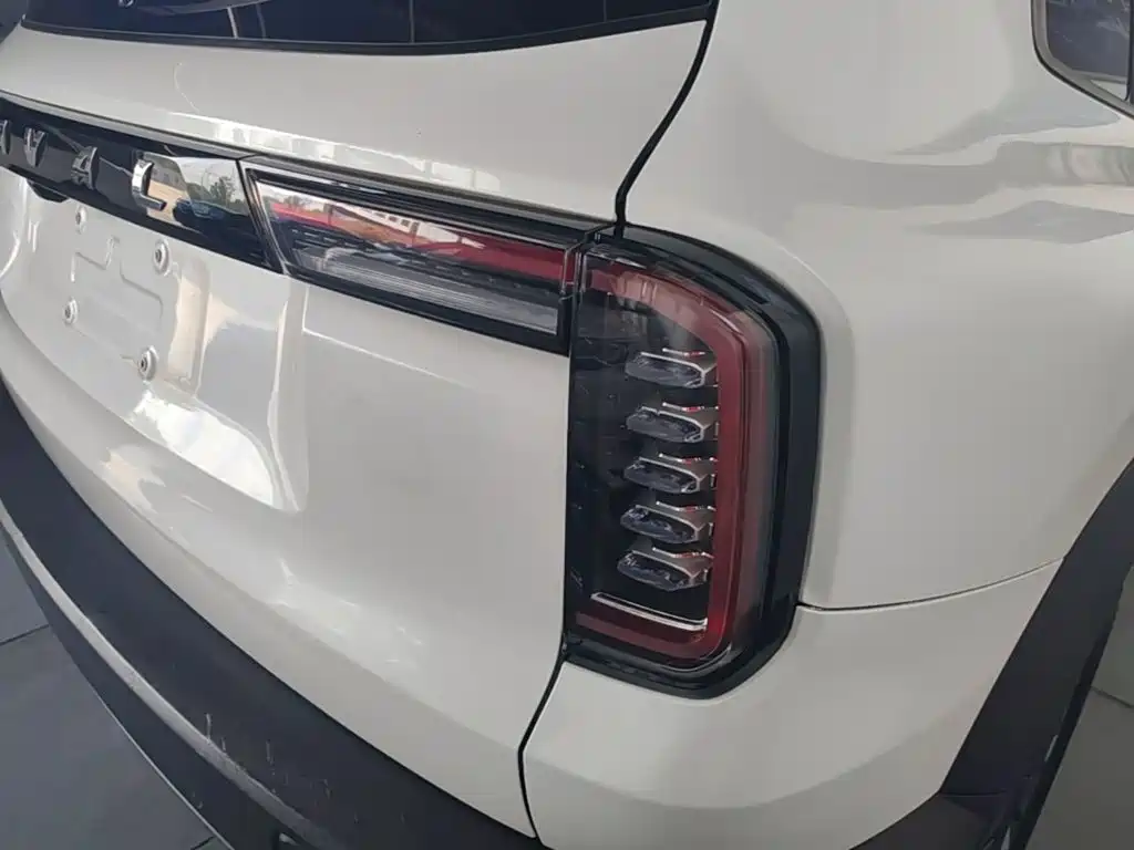 Haval Big Dog 2021 1.5T DCT 2WD Labrador Edition — фото 8