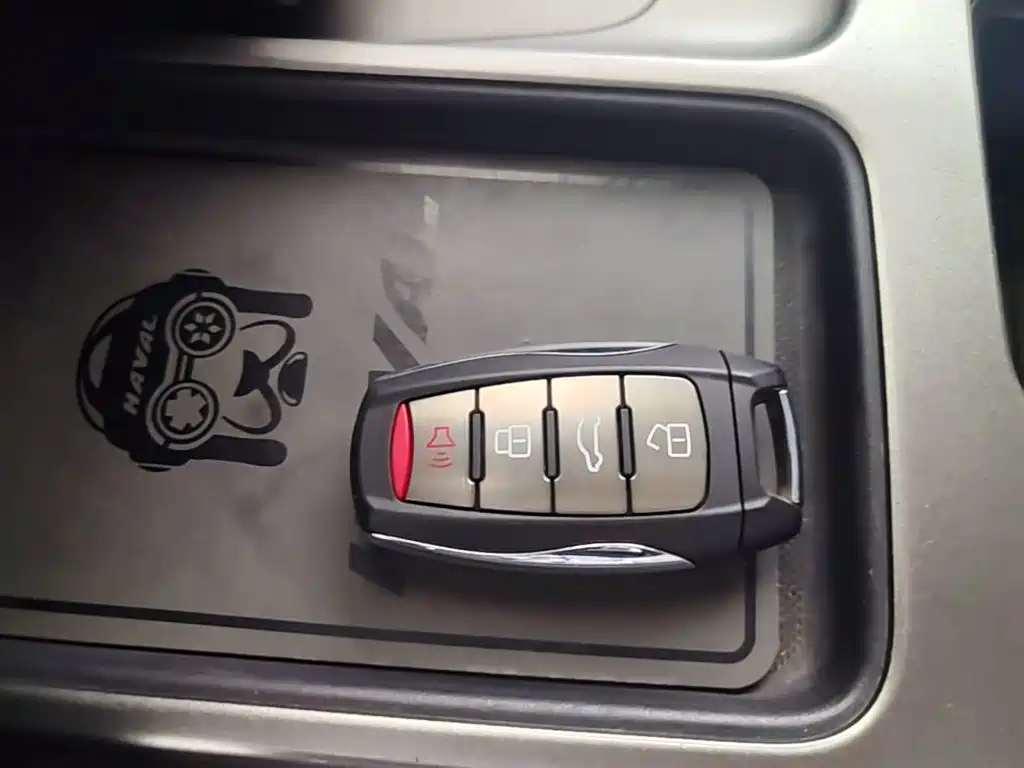 Haval Big Dog 2021 1.5T DCT 2WD Labrador Edition — фото 9